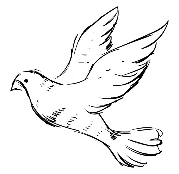 White dove, illustration, vector on white background. - Wektor, obraz