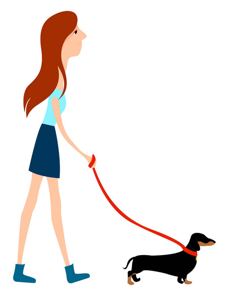 Girl walking dog, illustration, vector on white background. - Vector, Image