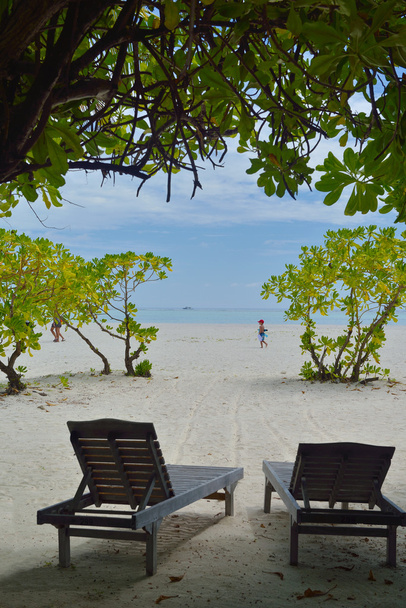 τροπική παραλία καρέκλες - Φωτογραφία, εικόνα