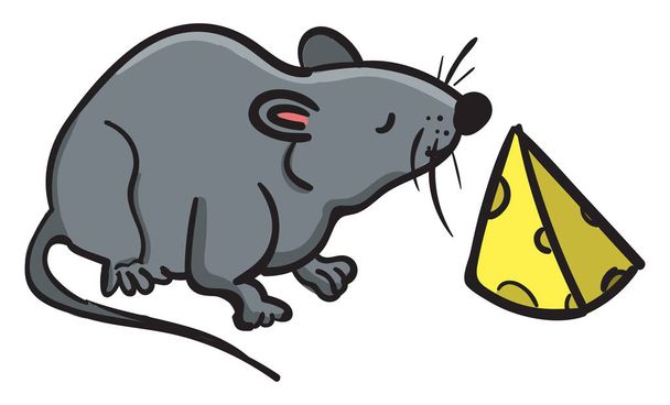 Rat with cheese, illustration, vector on white background. - Vector, Image