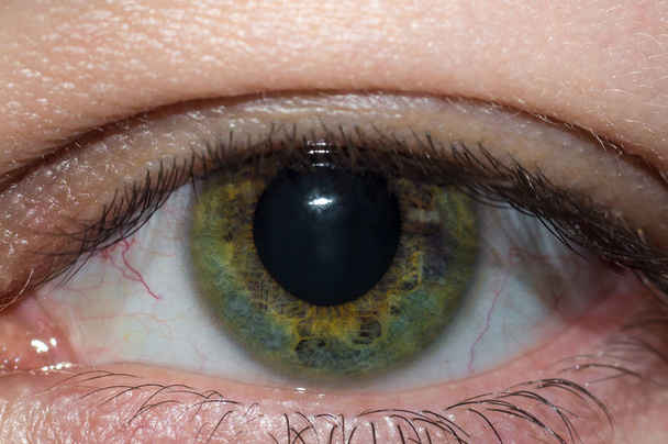 緑の目の男性クローズアップ - 写真・画像