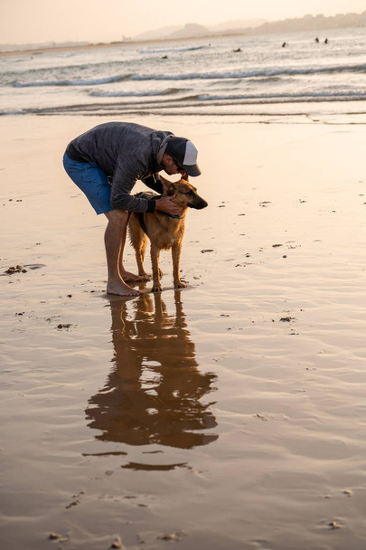 Man and dog german shepherd playing on the beach at sunset. Owner with pet off the leash running free at a Dog friendly beach, pet friendly vacation destination advertising and dog lovers. - Foto, immagini