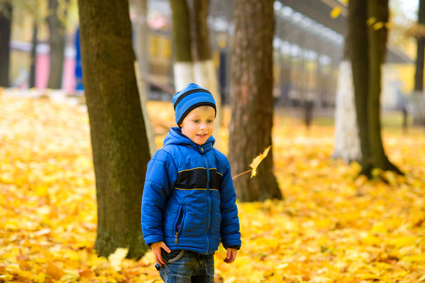 yellow maple leaves fall on boy in blue jacket in an autumn park - Foto, Imagen