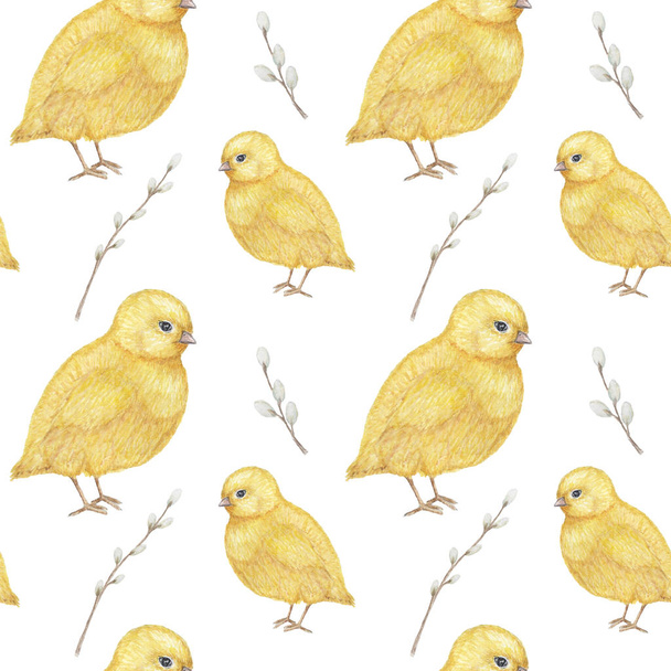 Seamless Easter pattern Watercolor hand drawn of yellow chiken, Spring willow. Colorful bird, chikens baby on white background. Design for invitation, poster, card, fabric, texture. - Photo, Image