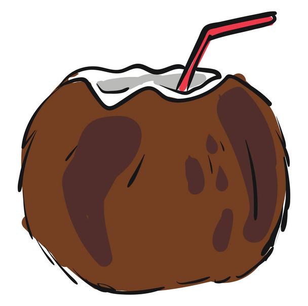 Popíjení kokosového ořechu, ilustrace, vektor na bílém pozadí. - Vektor, obrázek