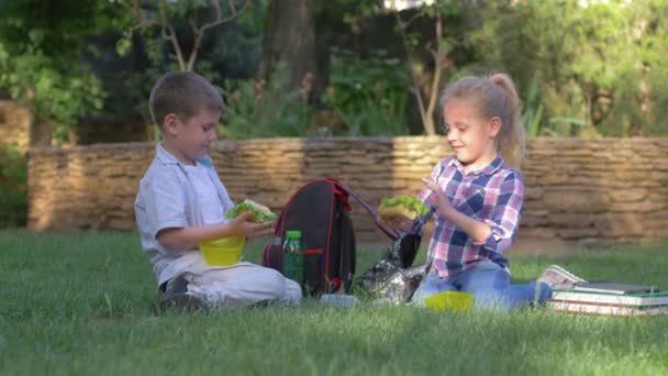 enfants pendant la pause déjeuner assis près des sacs à dos et des livres sur la pelouse, garçon et fille manger des sandwichs en plein air
 - Séquence, vidéo