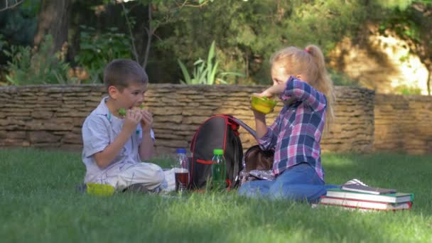 l'heure du déjeuner, les enfants affamés sortent rapidement des sandwichs des contenants de nourriture et mangent assis sur la pelouse dans la cour d'école
 - Séquence, vidéo