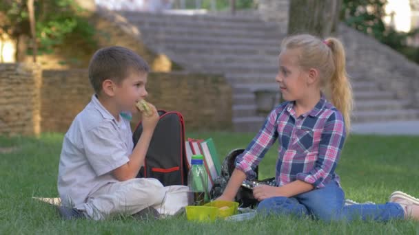 uczniowie rozmawiają podczas przerwy obiadowej z kanapkami w rękach siedząc na trawie na szkolnym podwórku - Materiał filmowy, wideo