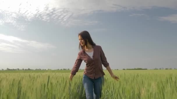 happy farmer girl walks through barley field and touches green plants on background of sky, wind ruffles her hair - Footage, Video