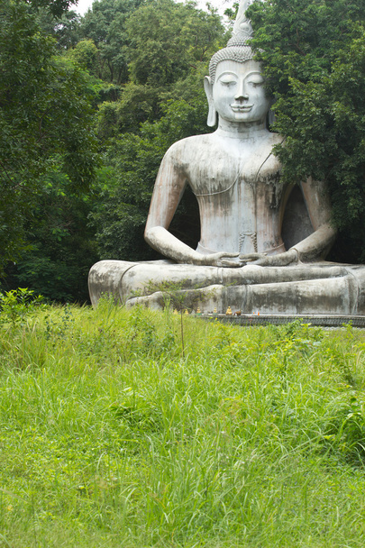 Buddhan patsas
 - Valokuva, kuva
