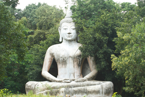 Buddhan patsas
 - Valokuva, kuva