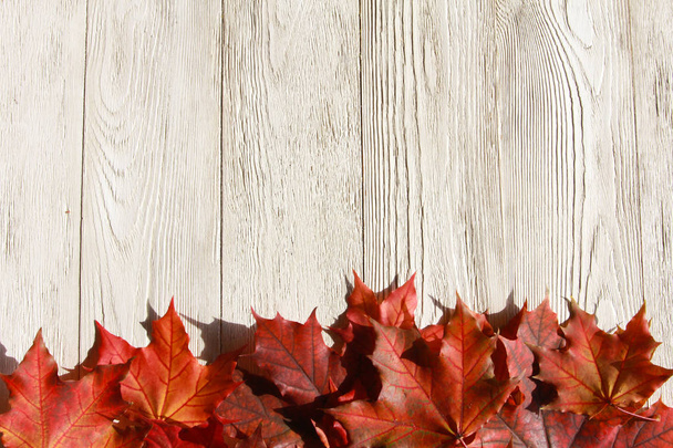 Fall leaves background. Welcome Autumn concept. Red maple leaves on white wooden table.  September, October, November, thanksgiving - Foto, Imagem