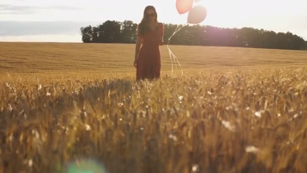 Νεαρή γυναίκα με καστανά μαλλιά που περπατάει μέσα από χρυσό χωράφι με μπαλόνια στο χέρι. Όμορφο κορίτσι με κόκκινο φόρεμα που πηγαίνει μεταξύ φυτεία κριθαριού με το φως του ήλιου στο παρασκήνιο. Η έννοια της ελευθερίας. Αργή κίνηση - Πλάνα, βίντεο