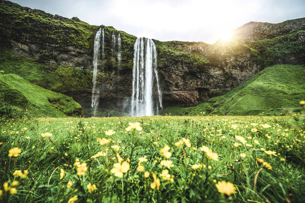 Magical Seljalandsfoss Waterfall in Iceland. - 写真・画像