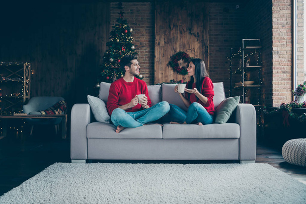 Portrait of his he her she nice attractive lovely cheerful cheery friendly married spouses sitting in divan spending vacation chatting in decorated loft industrial style interior indoors - Fotoğraf, Görsel