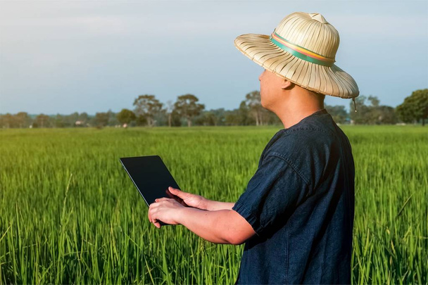 Η νέα γενιά γεωργών χρησιμοποιεί τεχνολογία για να βοηθήσει τη γεωργία να αυξήσει την παραγωγικότητα. - Φωτογραφία, εικόνα