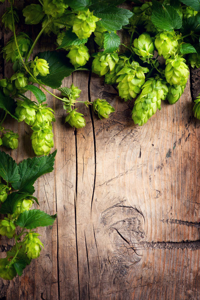 Hop twig over old wooden cracked table background. Beer producti - Photo, Image