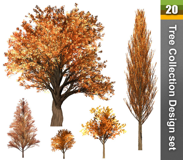 Tree correction design set. 3D Illustration. White background is - Photo, Image