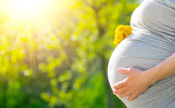 Těhotná ženská břicho. Koncept těhotenství. Přes zelenou přírodu rozmar - Fotografie, Obrázek