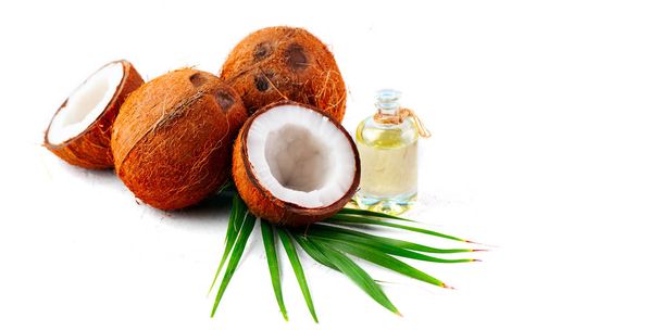 Coconut oil in a bottle with coconuts and green palm tree leaf i - Valokuva, kuva