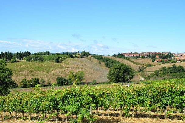 Paisagem vinícola de Chianti na Toscana, Italia - Foto, Imagem