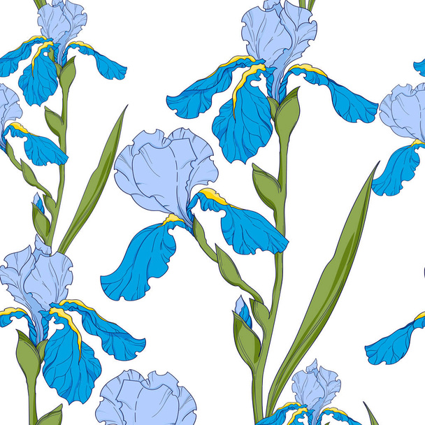 blue irises, branch with flowers, seamless vector pattern. - Vecteur, image