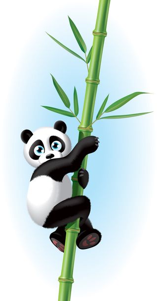 Panda - Foto, Bild