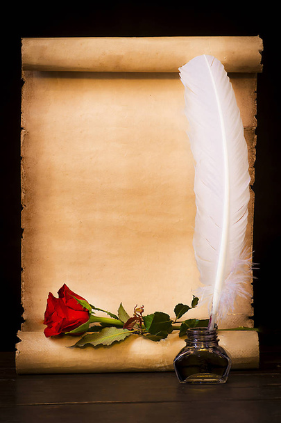 Parchment scroll, red rose and feather - Foto, imagen