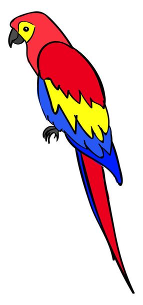 Parrot, illustration, vector on white background. - Vector, Image