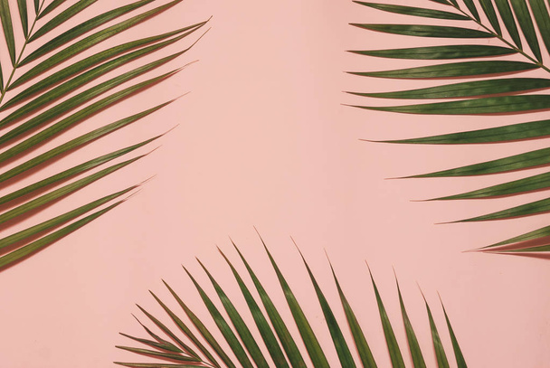 Palm leaves on pink background with copy space. - Fotoğraf, Görsel