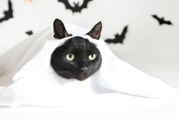 Black cat in white halloween costume - Fotó, kép