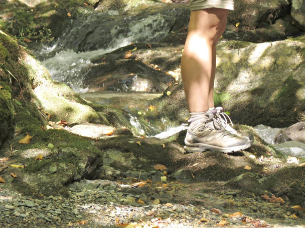 Mulher de calções e botas de trekking em pé na floresta, sobre pedras. Sozinho. Natureza selvagem exterior ativa
. - Foto, Imagem