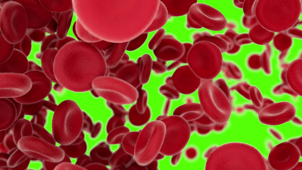Células sanguíneas que vuelan a través de arterias sobre fondo verde
 - Imágenes, Vídeo