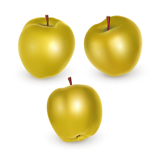 Sada žlutých jablek na bílém pozadí, Zralá jablka, vektorová ilustrace - Vektor, obrázek