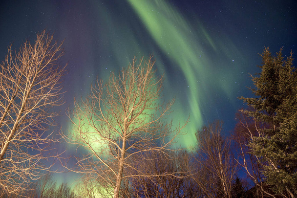 northern lights amazing nature scenic view  - Foto, Imagem
