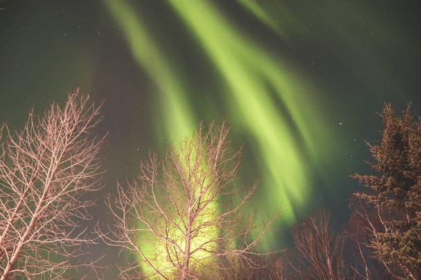 northern lights amazing nature scenic view  - Φωτογραφία, εικόνα