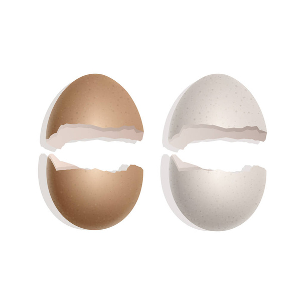 Ensemble d "œufs cassés, coquille d" œuf de Pâques fissurée ouverte, icônes réalistes 3D isolées sur fond blanc, illustration vectorielle
 - Vecteur, image