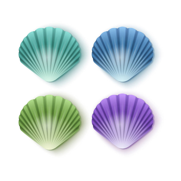 Set of scallop seashells, Vector seashells of cartoon style, illustration isolated on white background - Vector, Image