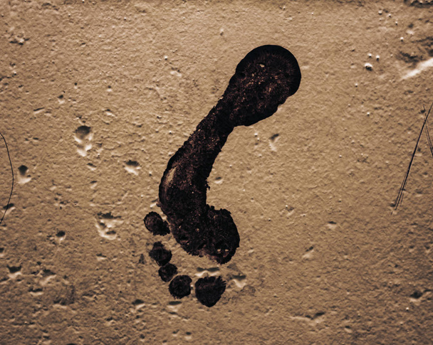 Footprints wall - Photo, Image