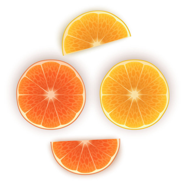 Φωτεινό διανυσματικό σύνολο πολύχρωμο μισό, φέτες πορτοκαλιού. Φρέσκες φέτες καρτούν από πορτοκάλι σε λευκό φόντο. - Διάνυσμα, εικόνα