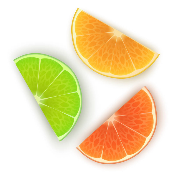 Čerstvé pomerančové, citrónové a citrónové plátky na bílém pozadí, sada jasných citrusových plodů, pomerančové plátky pro váš projekt - Vektor, obrázek