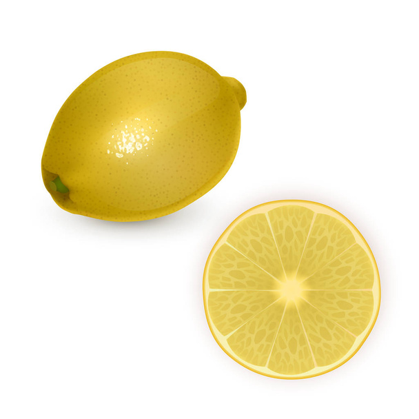 illustration of fresh lemon. Slice citrus isolated on white background. Tropical fruits. Raw and vegetarian food. - Vector, Image
