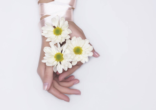 nainen kädet kukkia ylhäältä näkymä
  - Valokuva, kuva