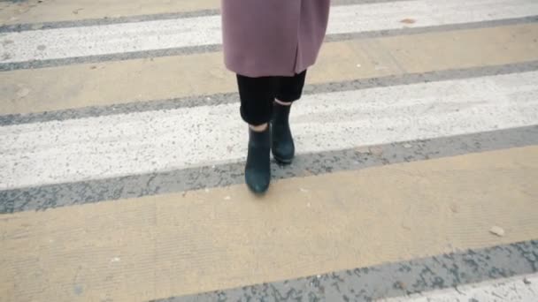Een meisje in de jas staat op een voetgangersoversteek. Benen dicht bij elkaar - Video