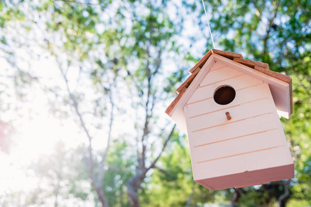 Dřevěný ptačí dům s pozadím nezaměřených stromů a slunce  - Fotografie, Obrázek