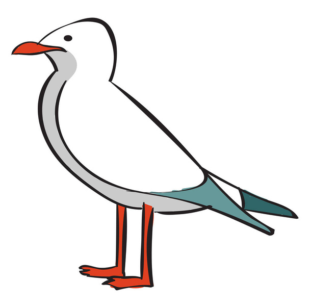 Sea Gull, illustratie, vector op witte achtergrond. - Vector, afbeelding