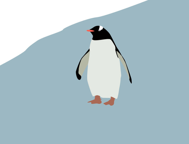 Pinguin auf Eis, Illustration, Vektor auf weißem Hintergrund. - Vektor, Bild