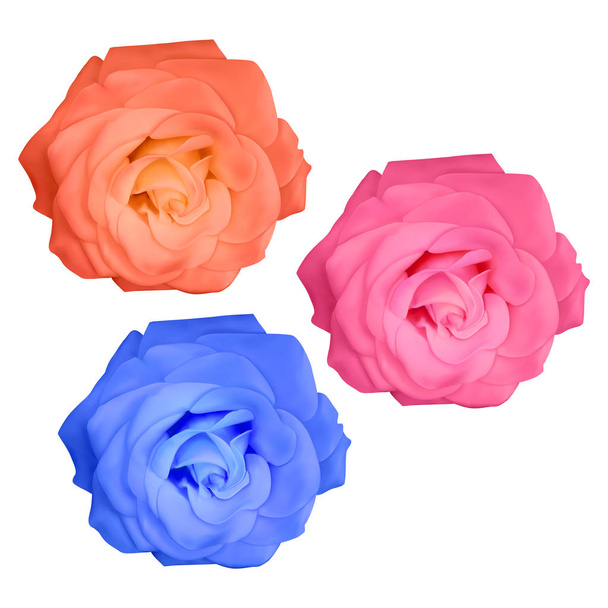 Conjunto de rosas realistas de color amarillo brillante, rosa y azul sobre fondo blanco, rosas vectoriales, decoración para su diseño
 - Vector, Imagen