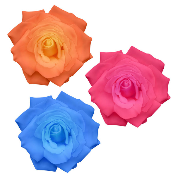 Set van realistische rozen van helder geel, roze en blauwe kleuren op witte achtergrond, Vector rozen, decoratie voor uw ontwerp - Vector, afbeelding
