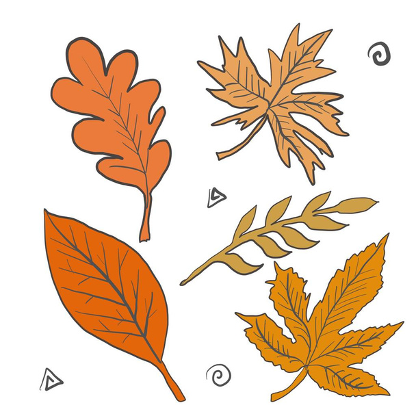Blätter Herbst Orange Set für Ihr Design - Foto, Bild